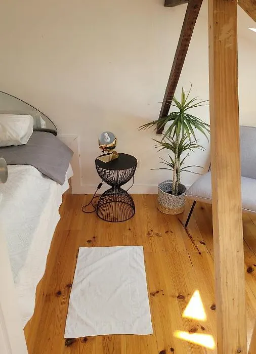 Litle Tiny Room In The Attic-1